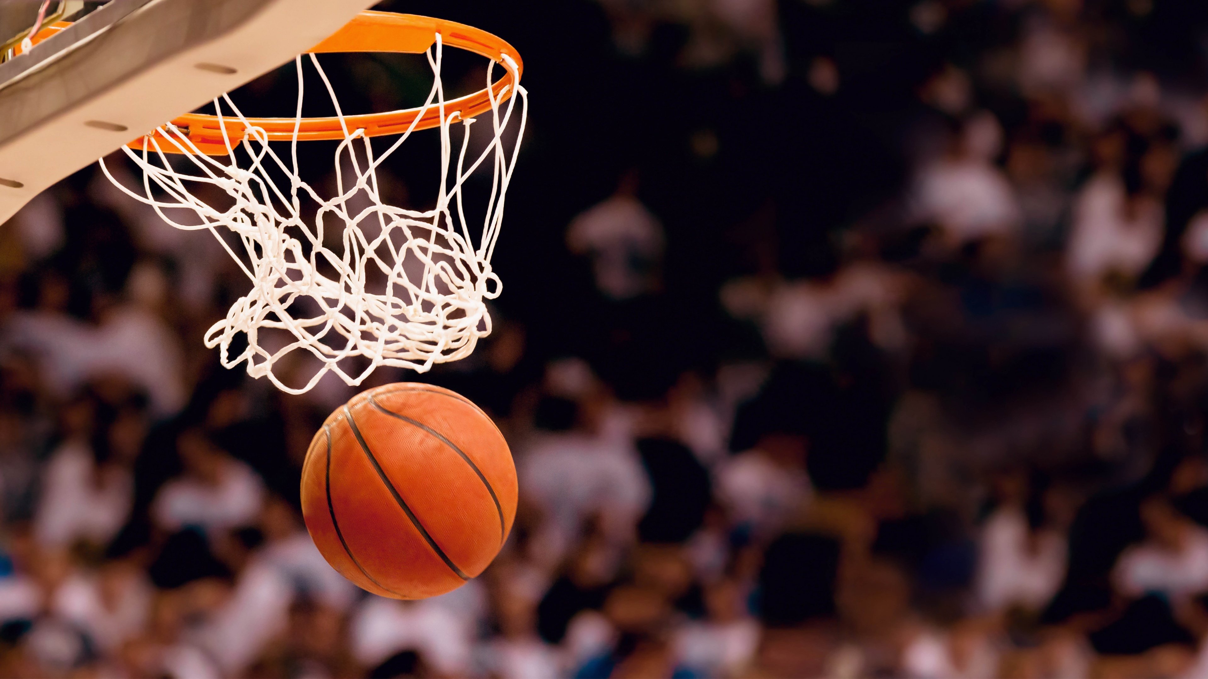 钢铁战车碾过维也纳,波尔一剑封喉,德国队演绎欧陆巅峰唯一性